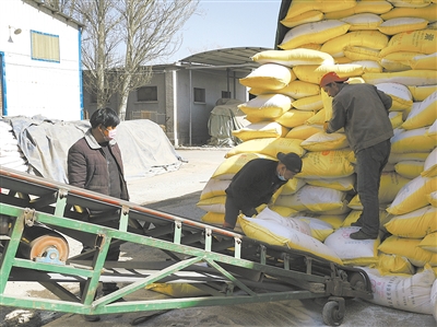 工人们从储备库搬运化肥.本报记者 郑思哲 摄