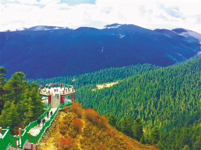 鲁朗小镇今年四条旅游线路发布