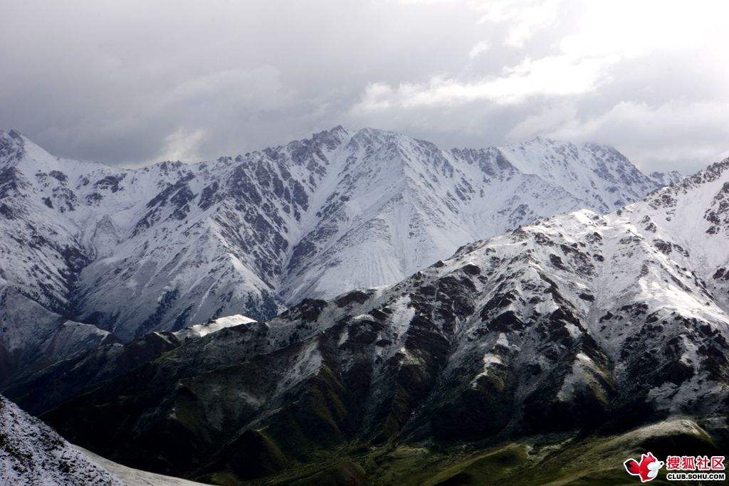 祁连那一座座连绵的雪山下篇