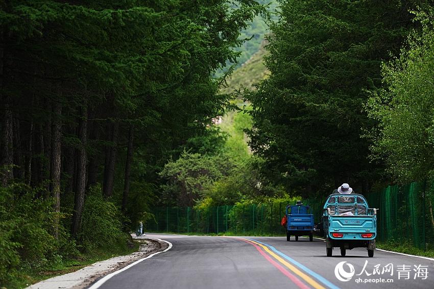 蜿蜒的山路。人民网 陈明菊摄